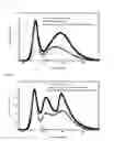 Fig. 08 - Light excitation-diffusion sheet for backlight unit and backlight unit for liquid crystal display using the same