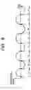 Fig. 05 - Recording medium, information recording and reproducing method, and recording and reproducing apparatus