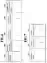Fig. 07 - Router device and cut-through path control method for realizing load balancing at intermediate routers
