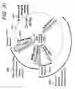 Fig. 20 - Signal masking and method thereof