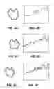 Fig. 06 - Method for automatic shape classification