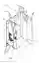 Fig. 04 - Bulk bag for meat and meat products