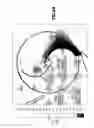 Fig. 09 - Cross-flow wind turbine