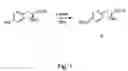 Fig. 02 - Site-specific labeling of proteins for NMR studies
