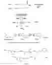 Fig. 02 - Compositions and methods for detecting and quantifying COX-2 activity and 2-arachidonylgycerol metabolites