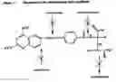 Fig. 02 - Metabolically inert antifolates for treating disorders of abnormal cellular proliferation and inflammation