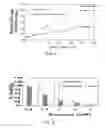 Fig. 02 - Method for treating cancer