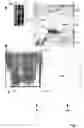Fig. 02 - Acetylated protein