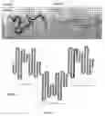 Fig. 02 - Compositions and methods of using Alpha-fetoprotein growth inhibitory peptides