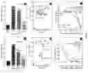 Fig. 04 - Compositions and methods of using Alpha-fetoprotein growth inhibitory peptides