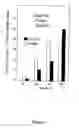 Fig. 06 - Compositions and methods of using Alpha-fetoprotein growth inhibitory peptides
