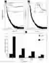 Fig. 10 - Compositions and methods of using Alpha-fetoprotein growth inhibitory peptides