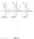 Fig. 23 - Compositions and methods of using Alpha-fetoprotein growth inhibitory peptides