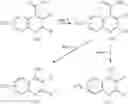 Fig. 12 - Phosphodiesterase inhibitor
