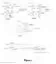 Fig. 02 - Oxo-bacteriopyropheophorbide-a carboxylic acid and esters thereof
