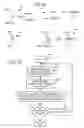 Fig. 10 - Extracting treelet translation pairs