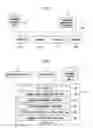 Fig. 02 - Document management apparatus, document management method, and document management program