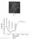 Fig. 07 - Fluorescent protein sensors for detection of analytes