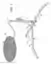 Fig. 02 - Collapsible grill and stand