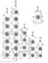 Fig. 04 - Apparatus for fastening and separating containers