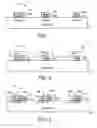 Fig. 02 - Selective spacer layer deposition method for forming spacers with different widths