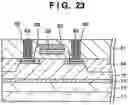 Fig. 24 - Semiconductor member, manufacturing method thereof, and semiconductor device