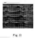 Fig. 08 - Tear resistant porous extensible web