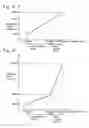 Fig. 11 - Image capturing apparatus