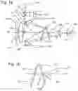 Fig. 02 - Multiple optical channels