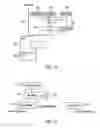 Fig. 10 - Dual mode, dual band wireless communication network and a method for using the same