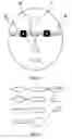 Fig. 02 - Method of beautification and facelifting using a stretch tape