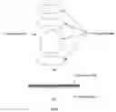 Fig. 05 - Method of beautification and facelifting using a stretch tape