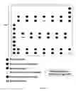 Fig. 04 - dilution of external controls for use in microarrays