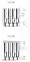 Fig. 08 - Method of forming a lower electrode of a capacitor