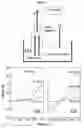 Fig. 09 - Nano- and micro-scale structures: methods, devices and applications thereof