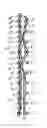 Fig. 01 - Industrial two-layer fabric