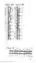 Fig. 03 - Industrial two-layer fabric