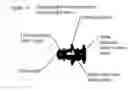 Fig. 09 - Upper-body exercise cycle