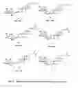 Fig. 13 - Glycosylceramide analogues