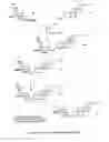 Fig. 20 - Glycosylceramide analogues