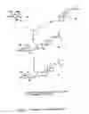 Fig. 21 - Glycosylceramide analogues