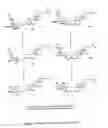 Fig. 24 - Glycosylceramide analogues