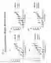 Fig. 25 - Glycosylceramide analogues
