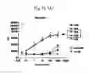 Fig. 30 - Glycosylceramide analogues
