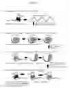 Fig. 02 - Pharmaceutical composition for treating and/or preventing a pathology associated with an obsessional behavior or with obesity