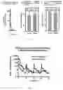 Fig. 02 - Method of administering anti-angiogenic agents and a method of treating disease using same