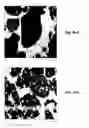 Fig. 07 - Compatibilized thermoplastic vulcanizate blends and their morphology as determined by atomic force microscopy