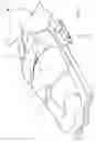 Fig. 02 - Mechanisms for generating improved hemodynamics during CPR