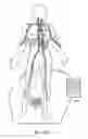 Fig. 22 - Compositions, kits, methods, and apparatus for transvascular delivery of a composition to an extravascular tissue of a mammal
