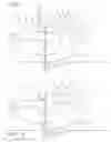Fig. 02 - Ultraviolet light absorbing composition for bird hunting apparatus